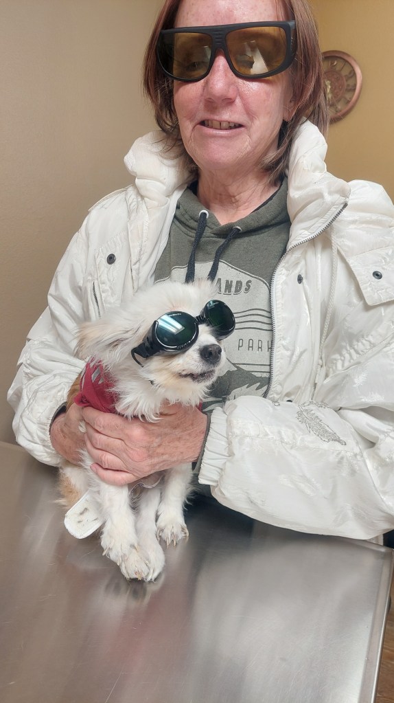 A woman wearing sunglasses and a white jacket holds a small dog also wearing sunglasses and a red sweater, sitting on a metal table.