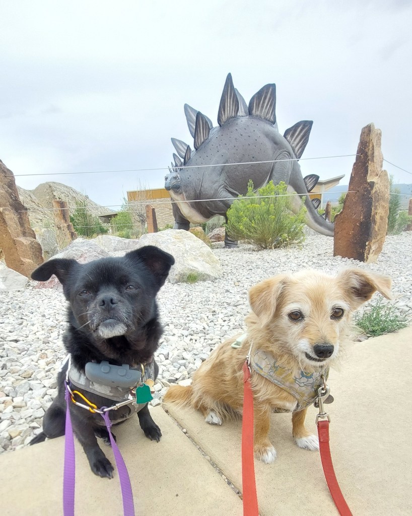 Two dogs are sitting in the foreground on a pathway, with a large dinosaur sculpture in the background.