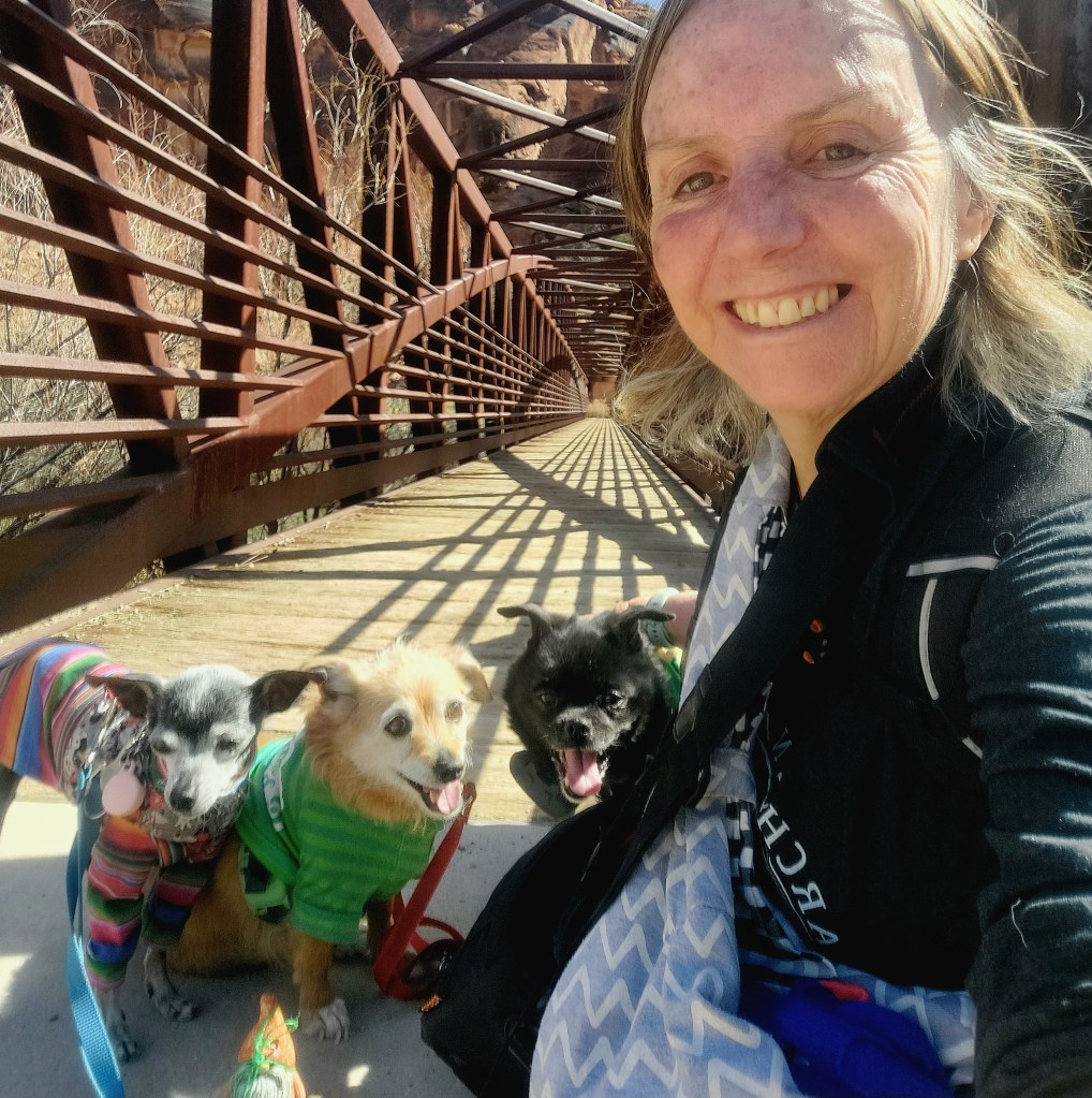 A smiling woman takes a selfie with three dogs on a bridge. The dogs are wearing colorful sweaters and leashes, and the background shows the bridge's structure and surrounding scenery.