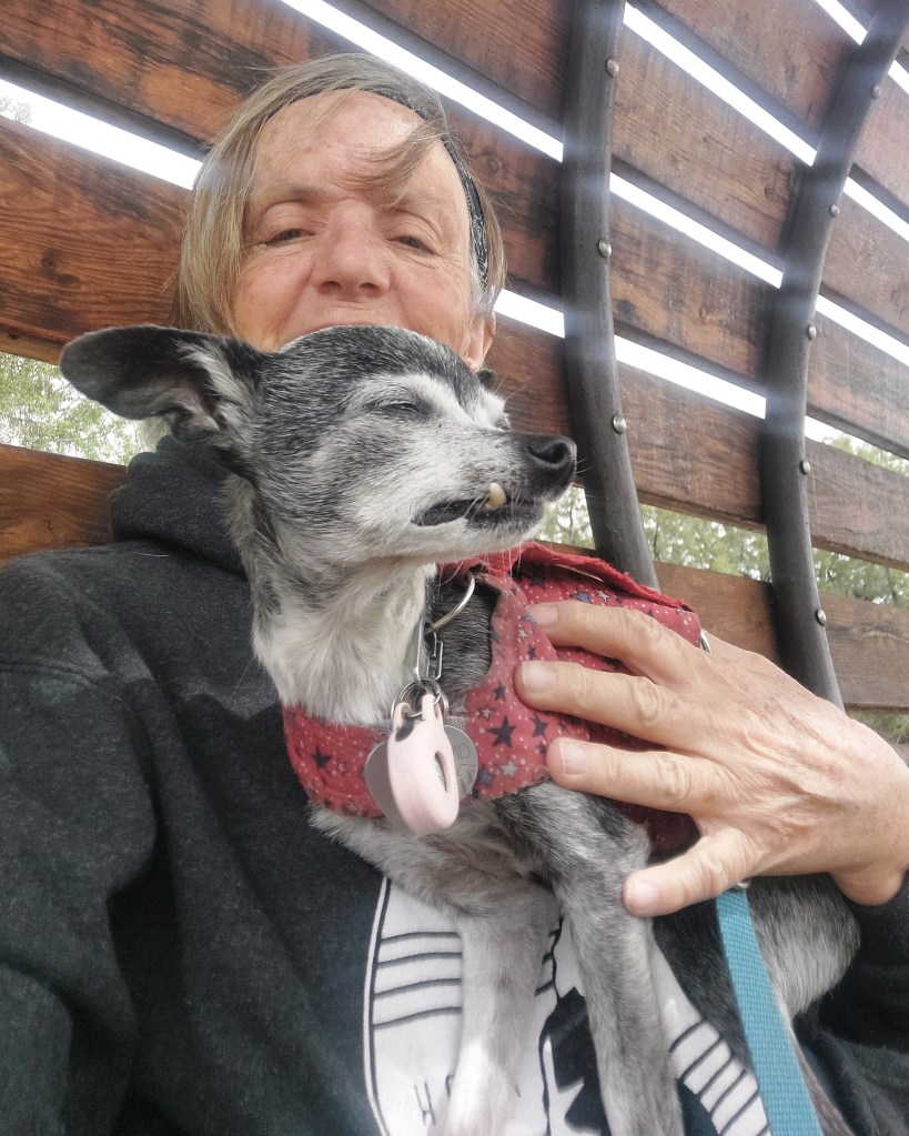 A person sitting on a wooden bench, holding a small dog with a gray and white coat, while both appear relaxed and content.
