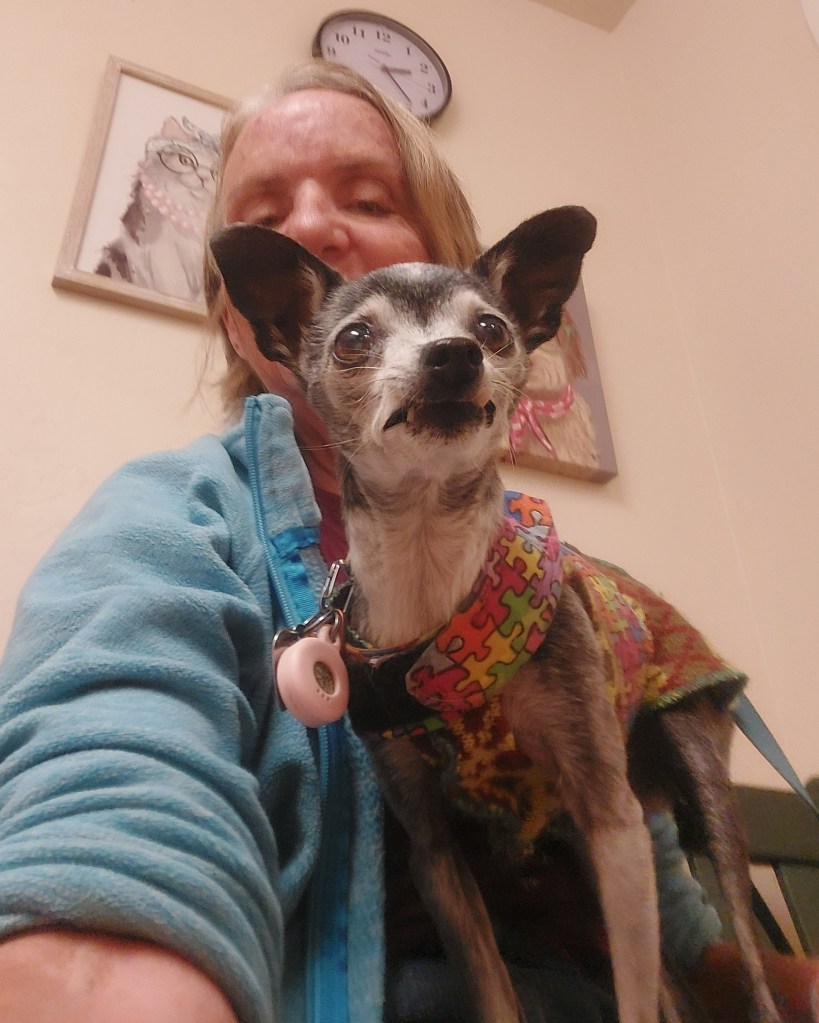 A woman taking a selfie with a small dog, both appearing happy. The dog is wearing a colorful harness, and there is a clock and artwork featuring animals in the background.