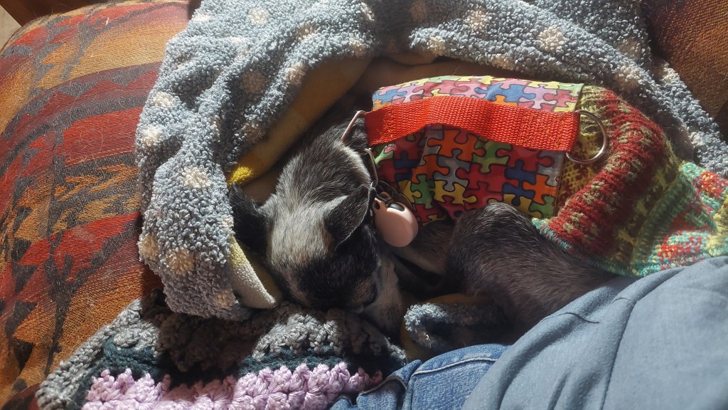A small dog sleeping comfortably on a couch, wrapped in colorful blankets, with a puzzle-patterned bag nearby.