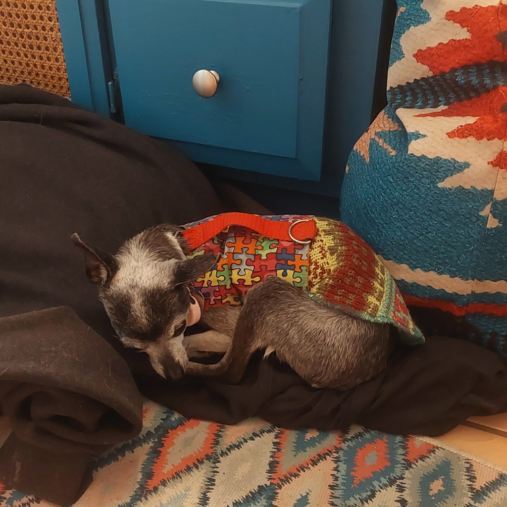 A small dog curled up and sleeping on a black blanket, wearing a colorful patterned sweater.