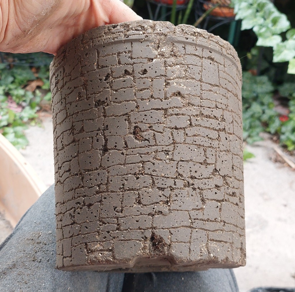 A hand holding a textured, cylindrical concrete pot with a cracked surface pattern, set against a blurred background of green foliage.