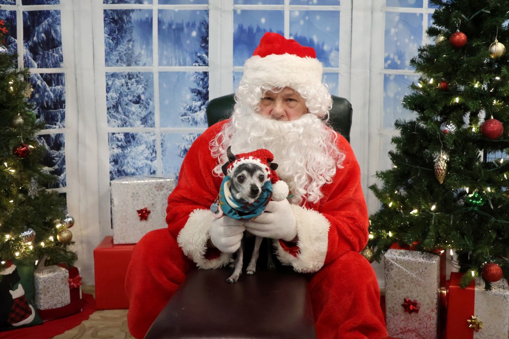 Santa Claus gently holds a small dog dressed in a festive outfit, sitting in front of a decorated Christmas setting with trees and presents.